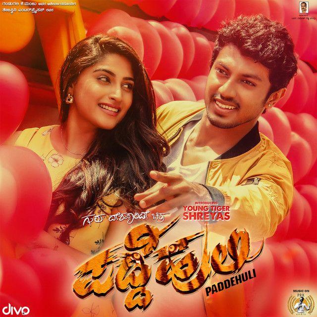 Album cover for Padde Huli