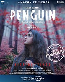 Album cover for Penguin